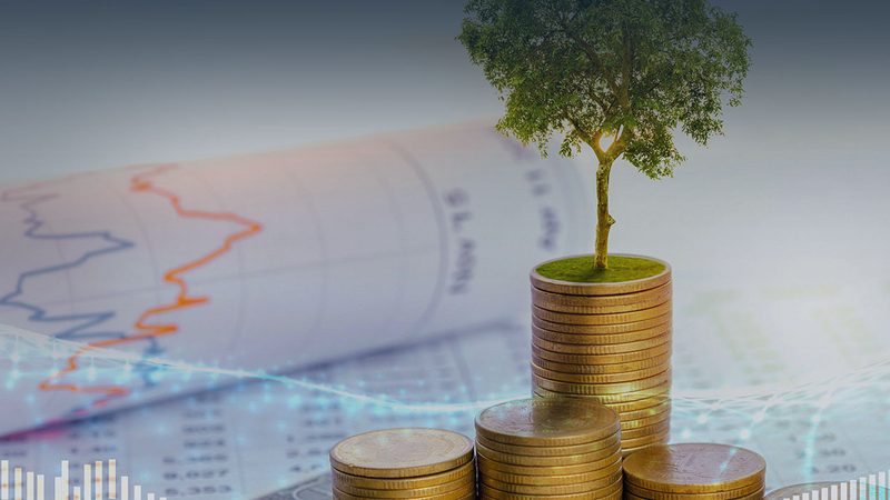 ISO认证咨询与审核：企业提升管理效能的隐形推手